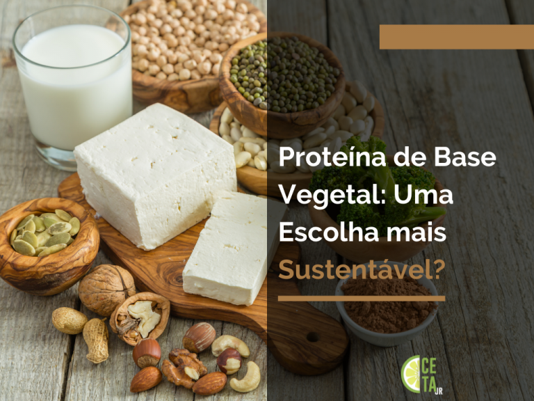 Proteína de Base Vegetal: Uma Escolha mais Sustentável?