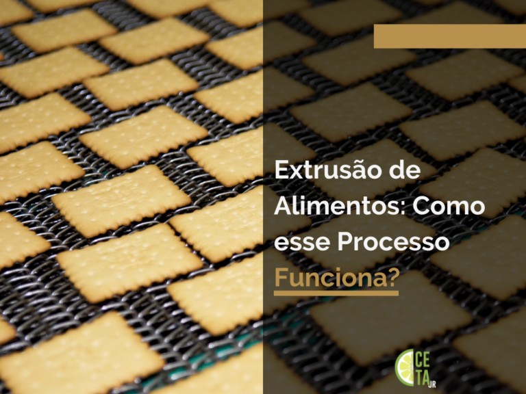 Extrusão de Alimentos: Como esse Processo Funciona?