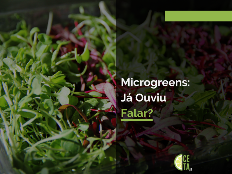 Microgreens: Já Ouviu Falar?