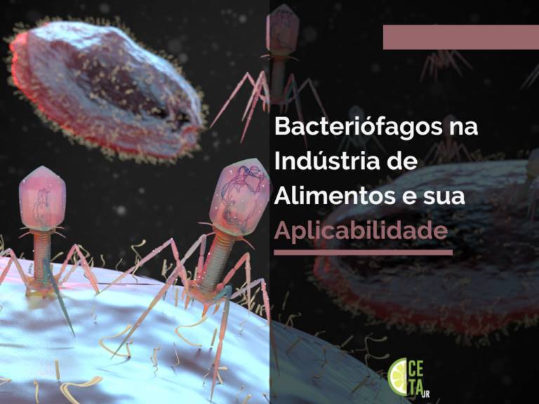 Bacteriófagos na Indústria de Alimentos e sua Aplicabilidade