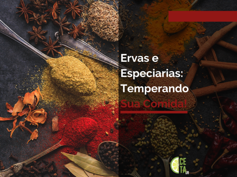 Ervas e especiarias temperando sua comida!