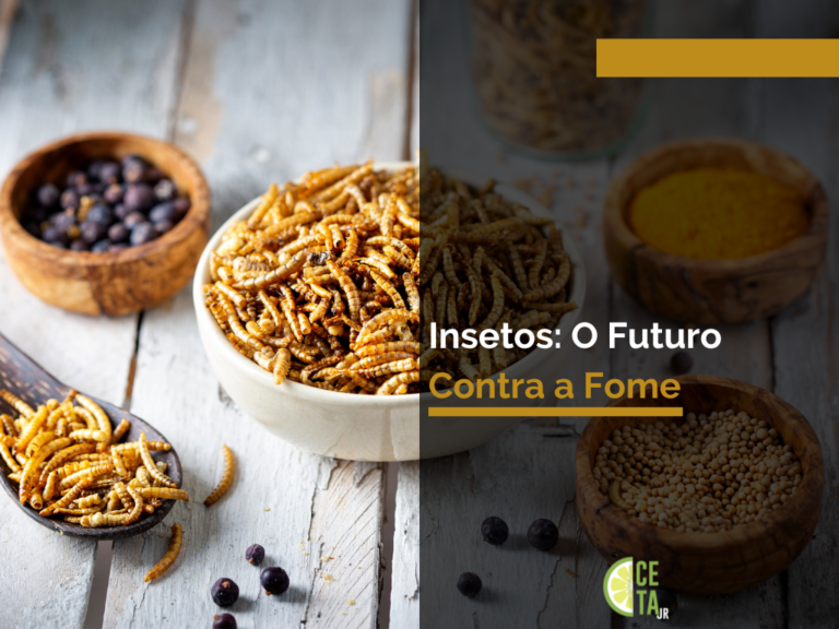 Insetos_ O Futuro Contra a Fome