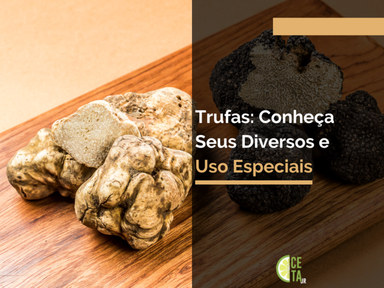 Trufas: Conheça Seus Diversos e Uso Especiais