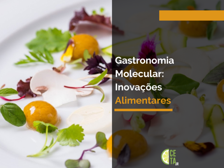 Gastronomia Molecular Inovações Alimentares