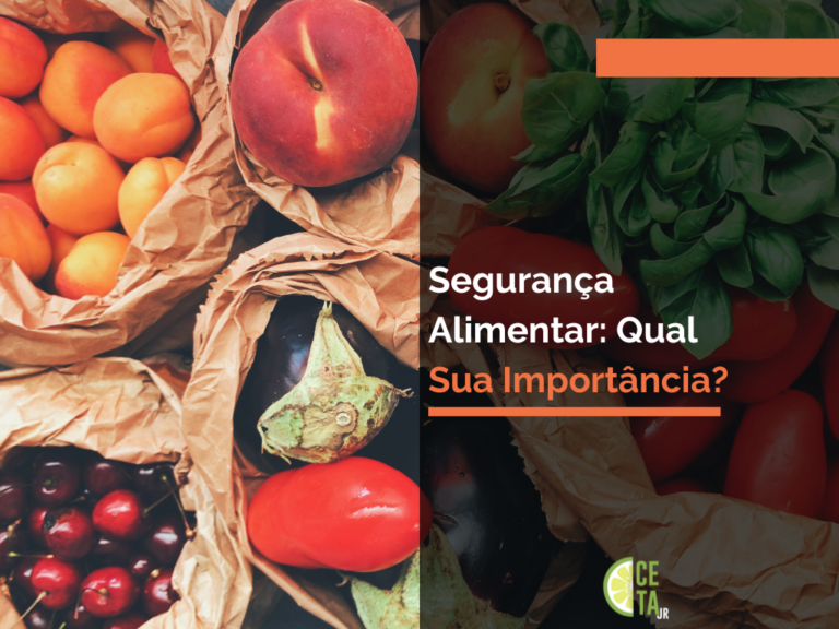 Segurança Alimentar Qual sua Importância