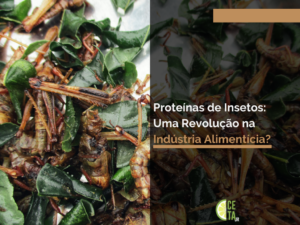 Proteína de Inseto: Uma Revolução na Indústria Alimentícia?