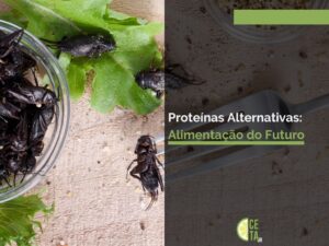 Proteínas Alternativas: Alimentação do Futuro