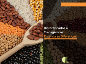 Biofortificados e Transgênicos: Entenda as Diferenças!