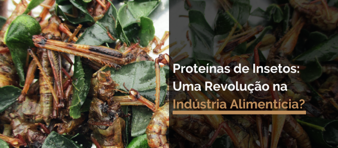 Proteína de Inseto: Uma Revolução na Indústria Alimentícia?