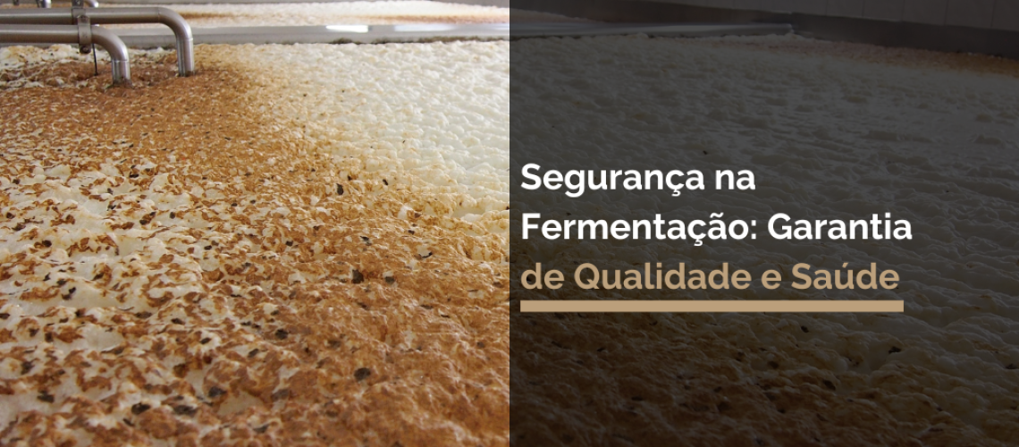 Segurança na Fermentação: Garantia de Qualidade e Saúde