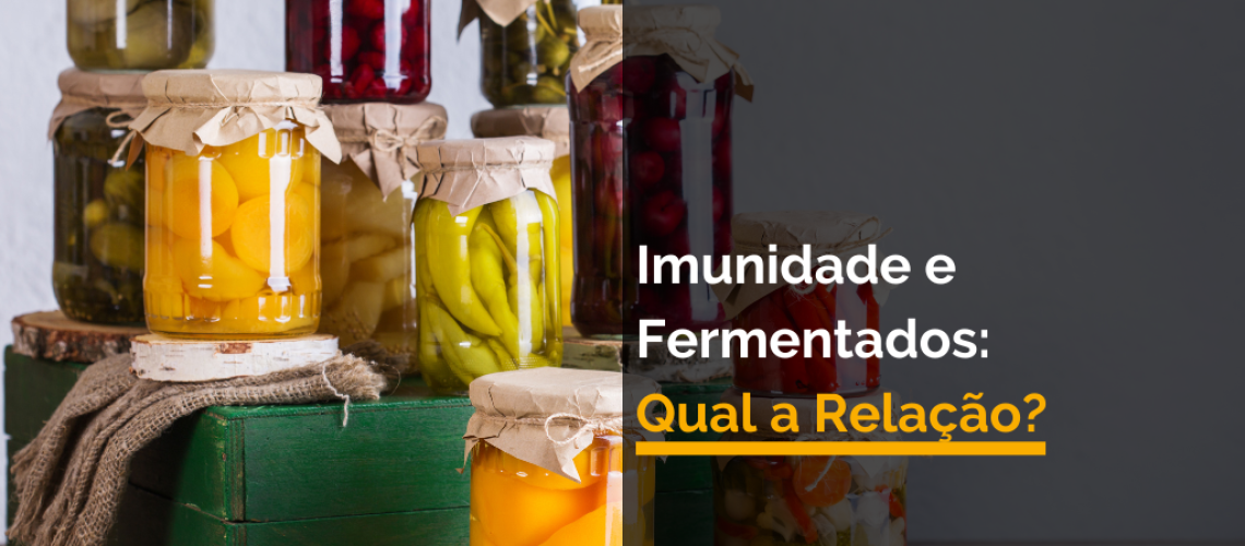 Imunidade e Fermentados Qual a Relação